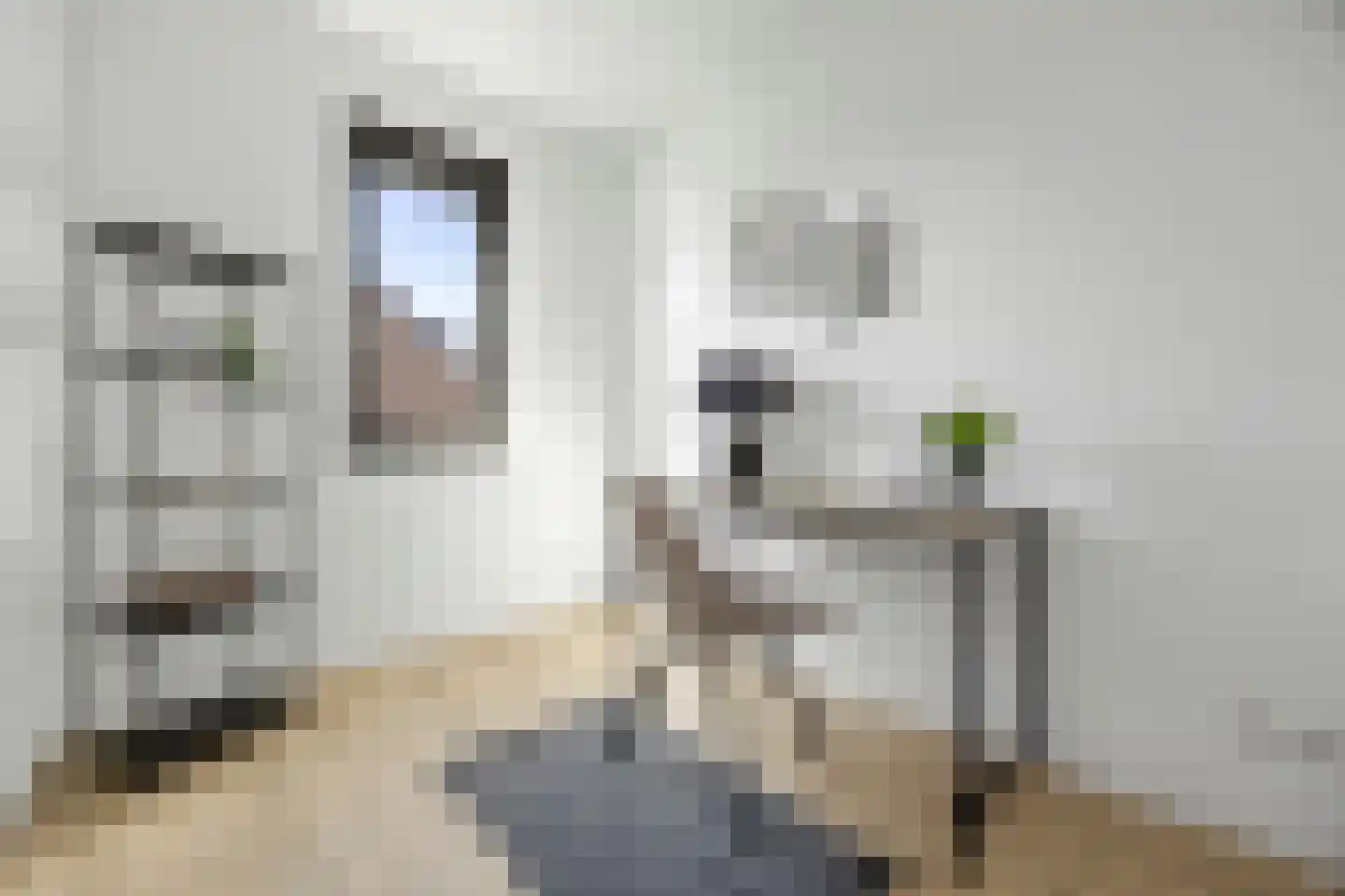 Palissade 15 Sleeuwijk thumbnail 19