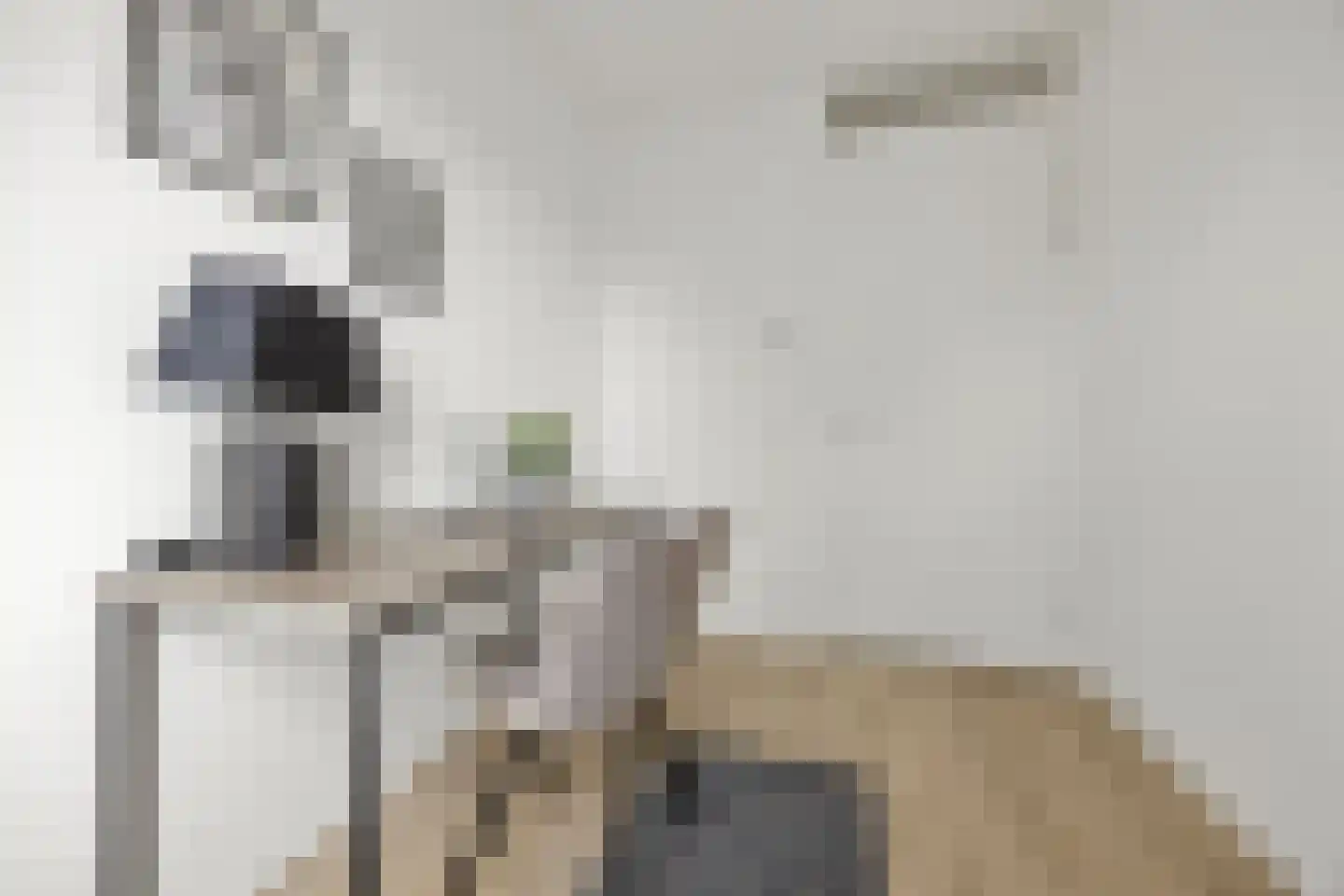 Palissade 15 Sleeuwijk thumbnail 20