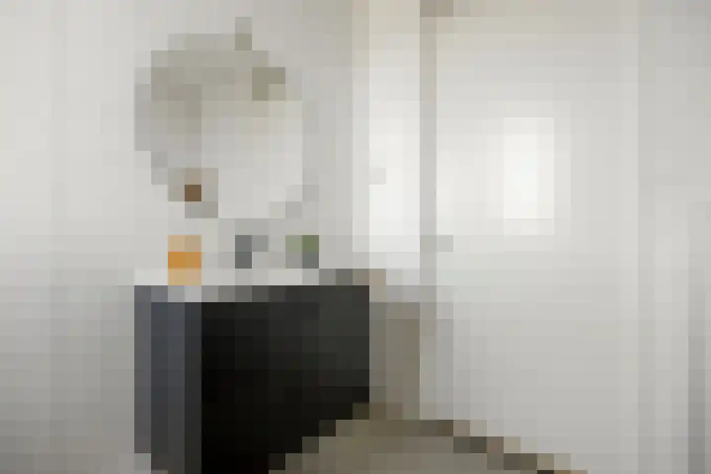 Palissade 15 Sleeuwijk thumbnail 29