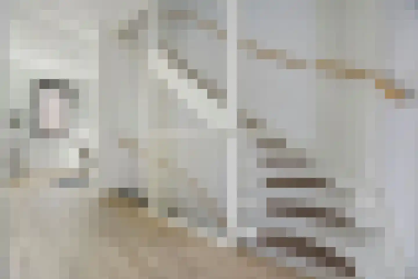 Palissade 15 Sleeuwijk thumbnail 30