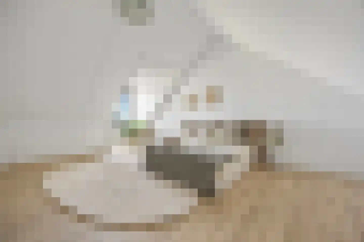 Palissade 15 Sleeuwijk thumbnail 32