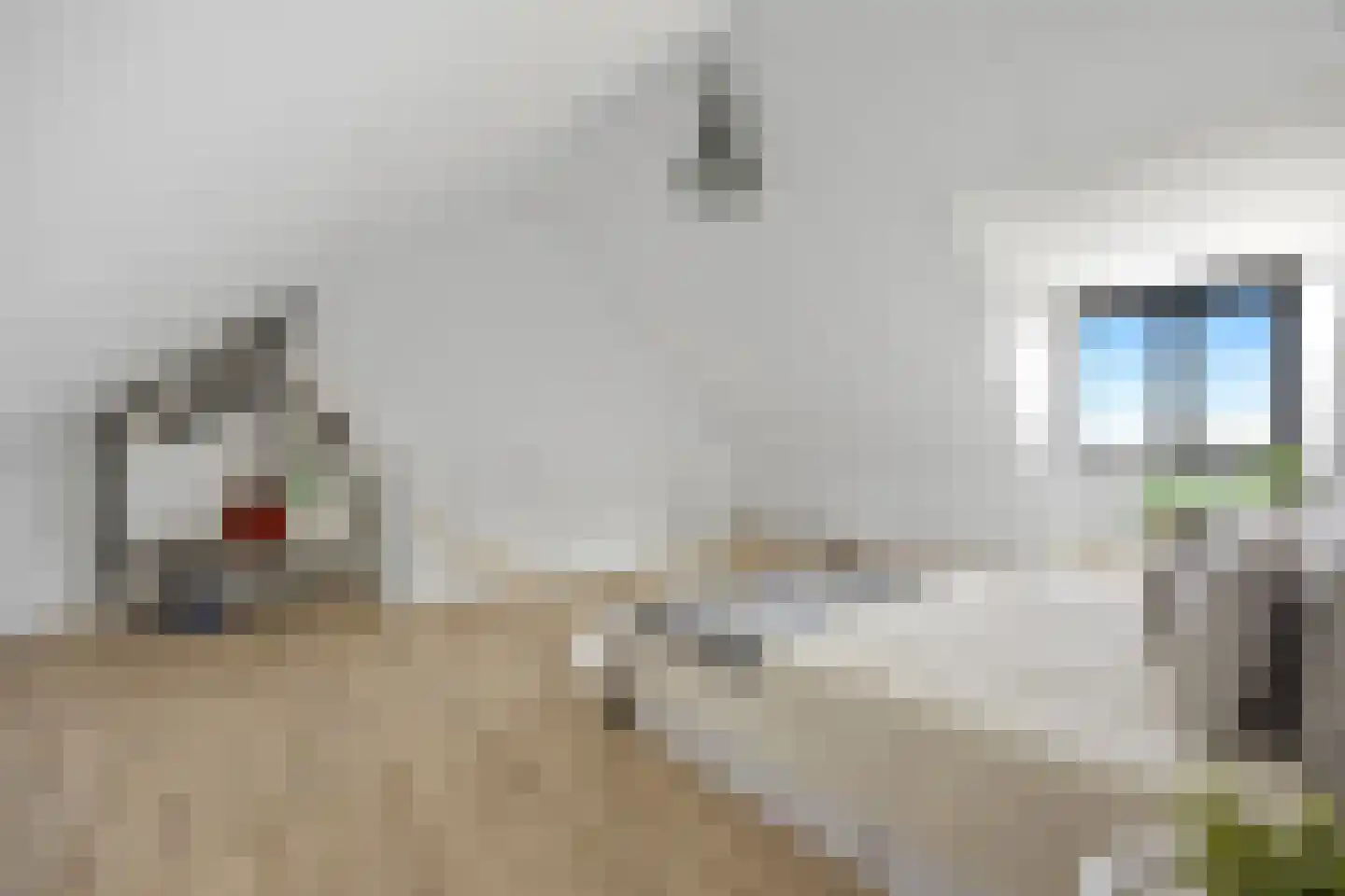 Palissade 15 Sleeuwijk thumbnail 33