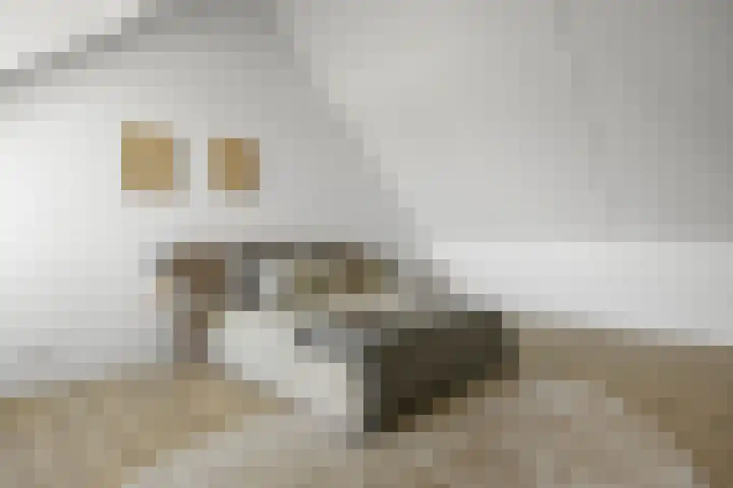 Palissade 15 Sleeuwijk thumbnail 35