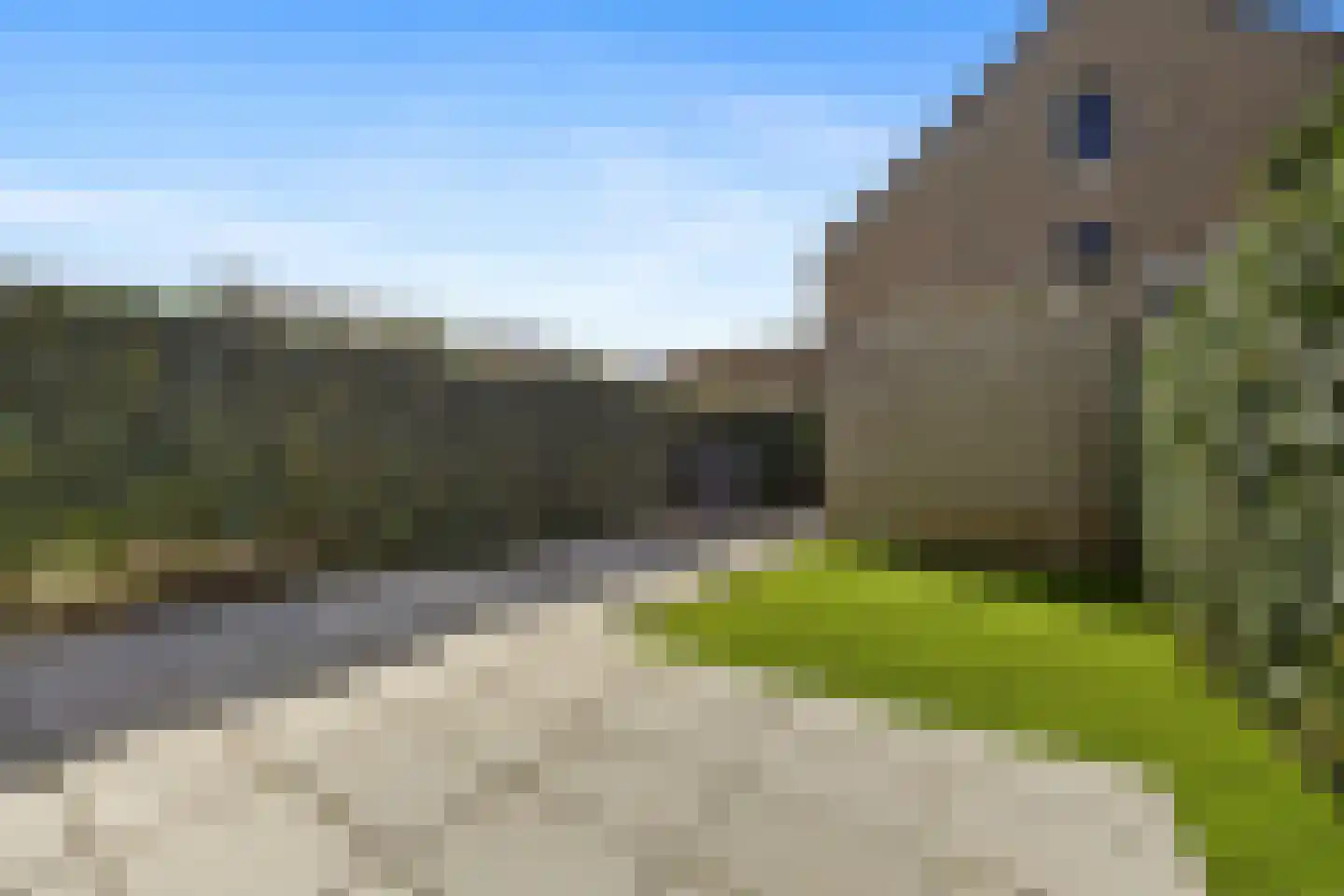 Palissade 15 Sleeuwijk thumbnail 38