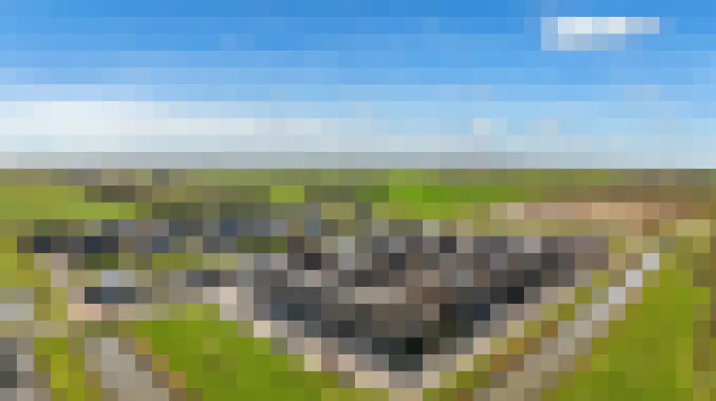 Palissade 15 Sleeuwijk thumbnail 47