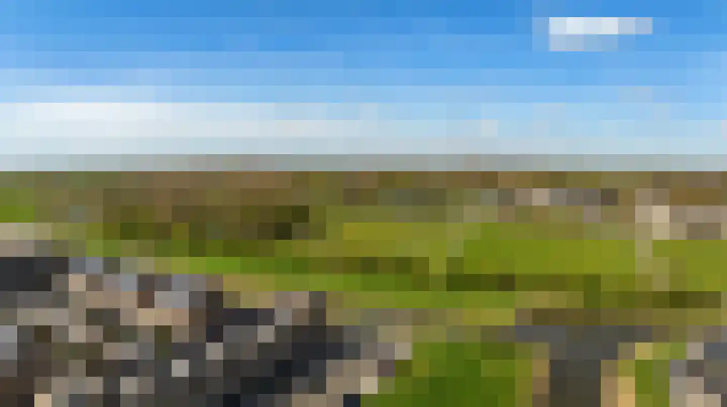 Palissade 15 Sleeuwijk thumbnail 48
