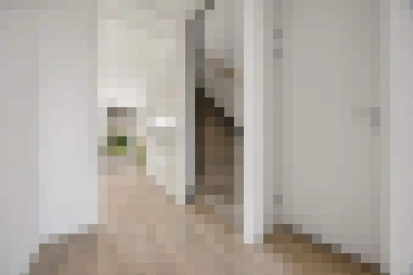 Palissade 15 Sleeuwijk thumbnail 8