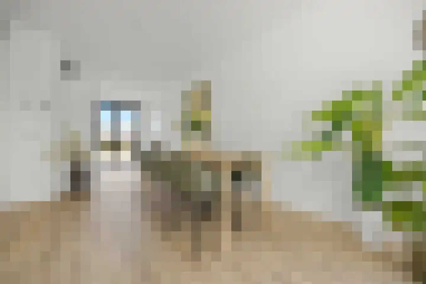 Palissade 15 Sleeuwijk thumbnail 9