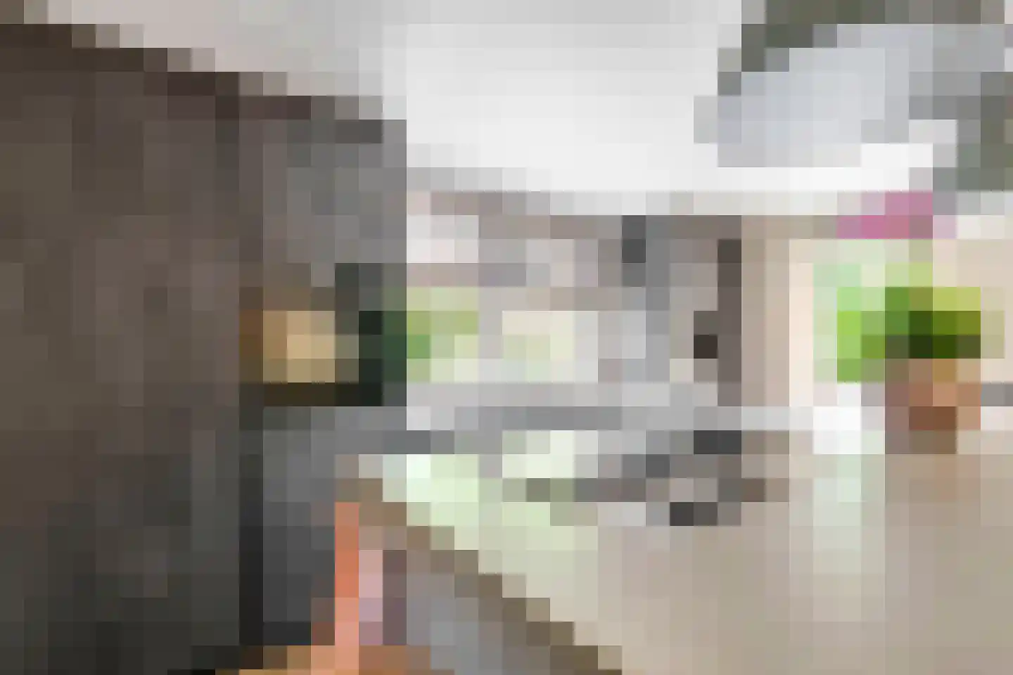 Palissade 27 Hellevoetsluis thumbnail 21