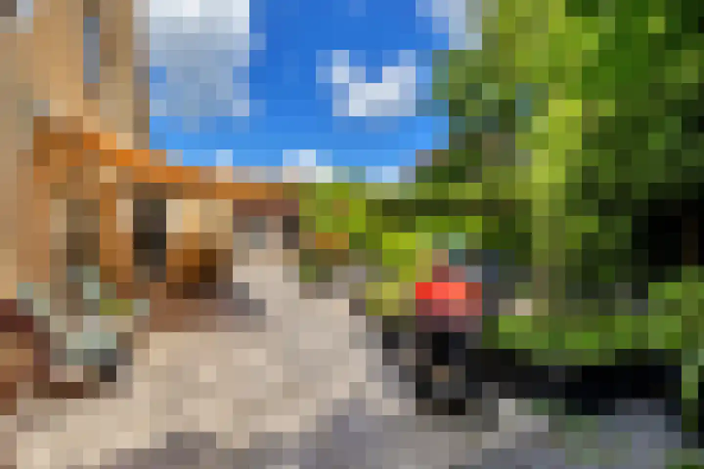Palissade 27 Hellevoetsluis thumbnail 24