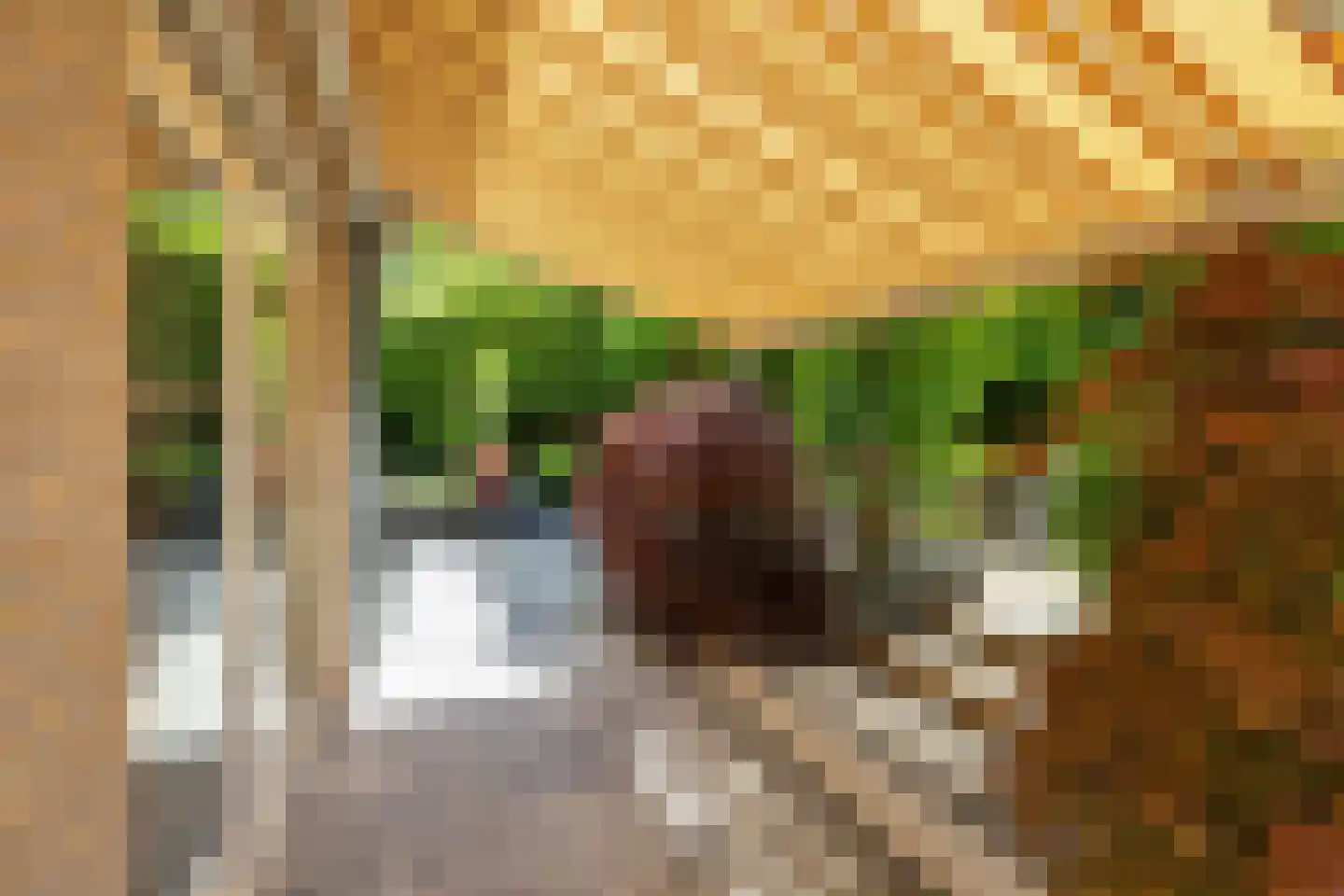 Palissade 27 Hellevoetsluis thumbnail 31