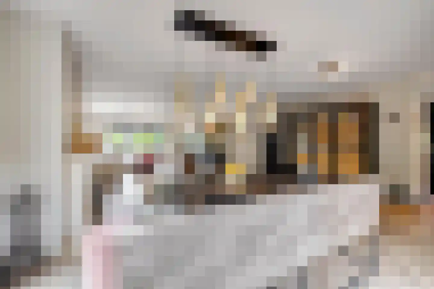 Palissade 27 Hellevoetsluis thumbnail 4