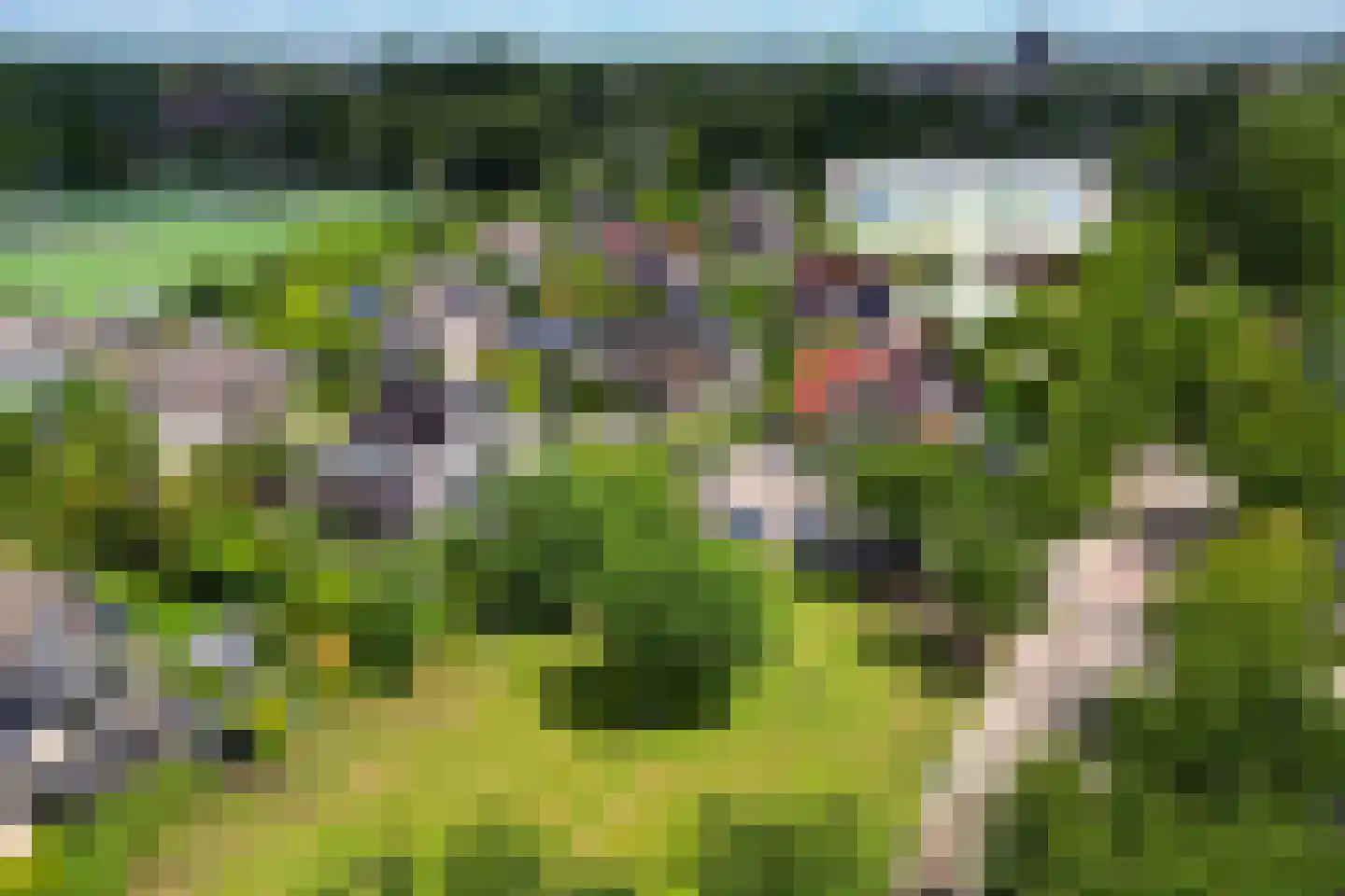 Palissade 27 Hellevoetsluis thumbnail 57