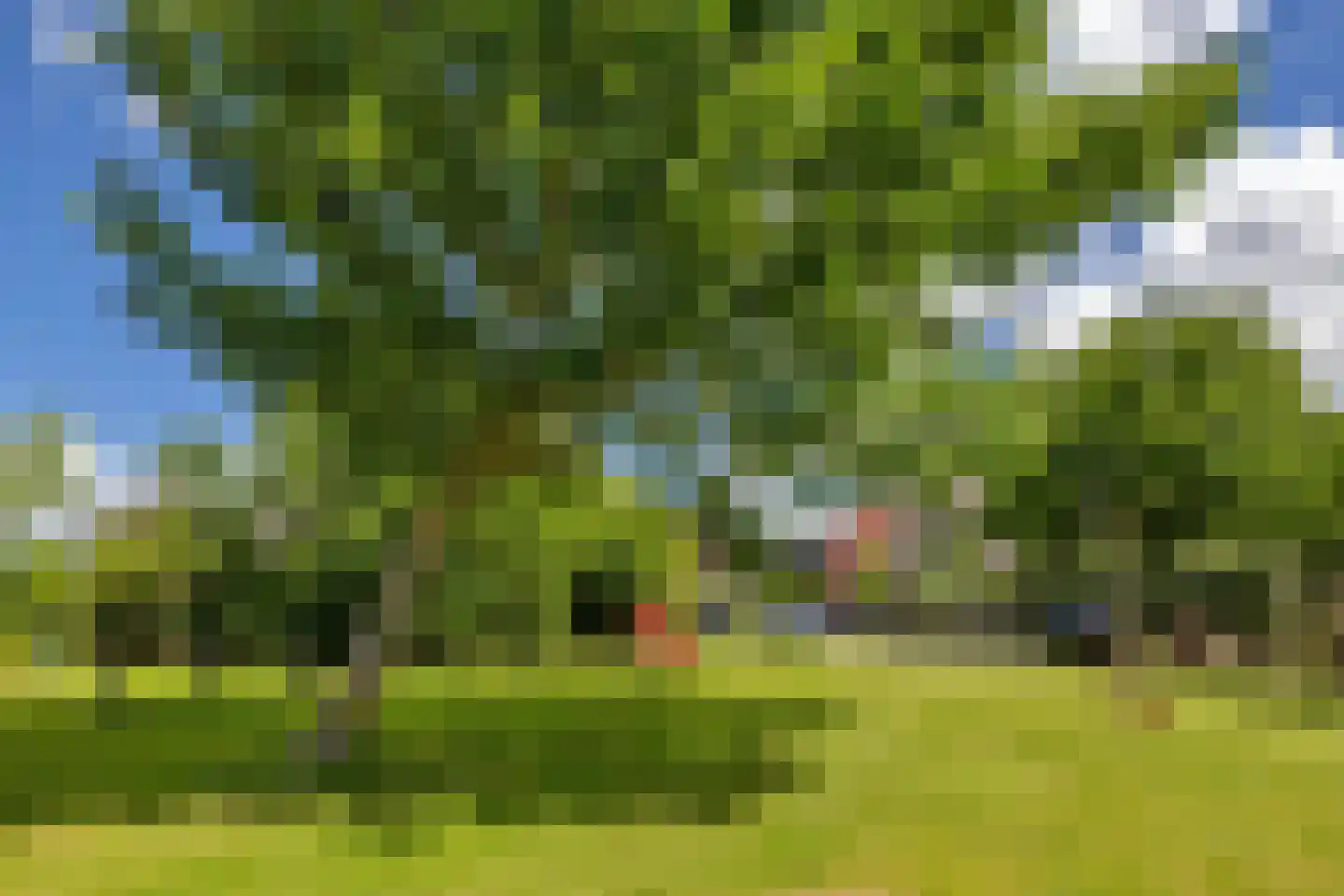 Palissade 27 Hellevoetsluis thumbnail 60