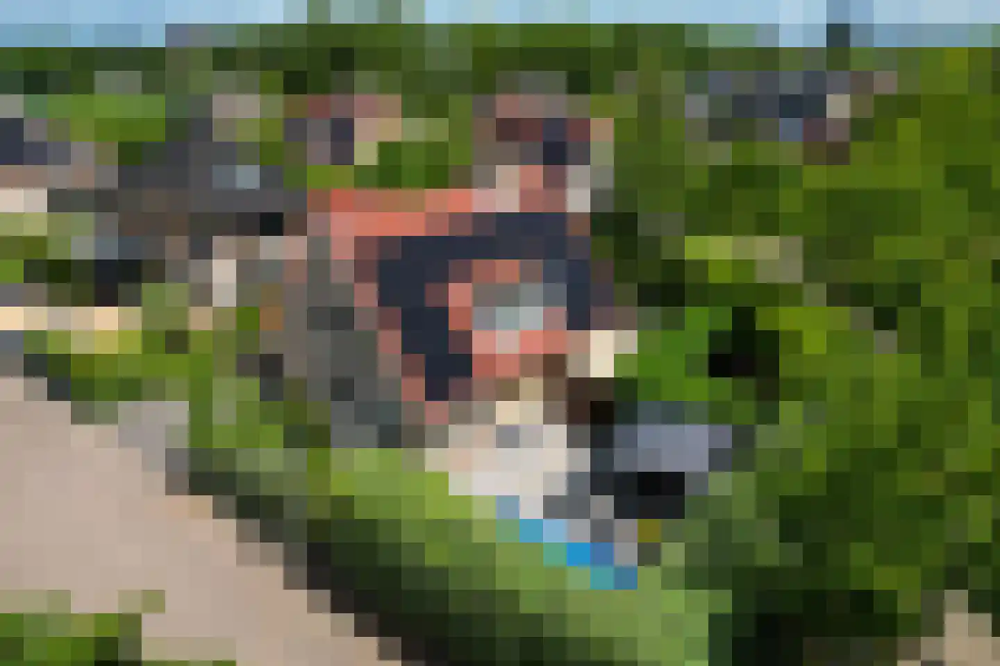 Palissade 27 Hellevoetsluis thumbnail 7