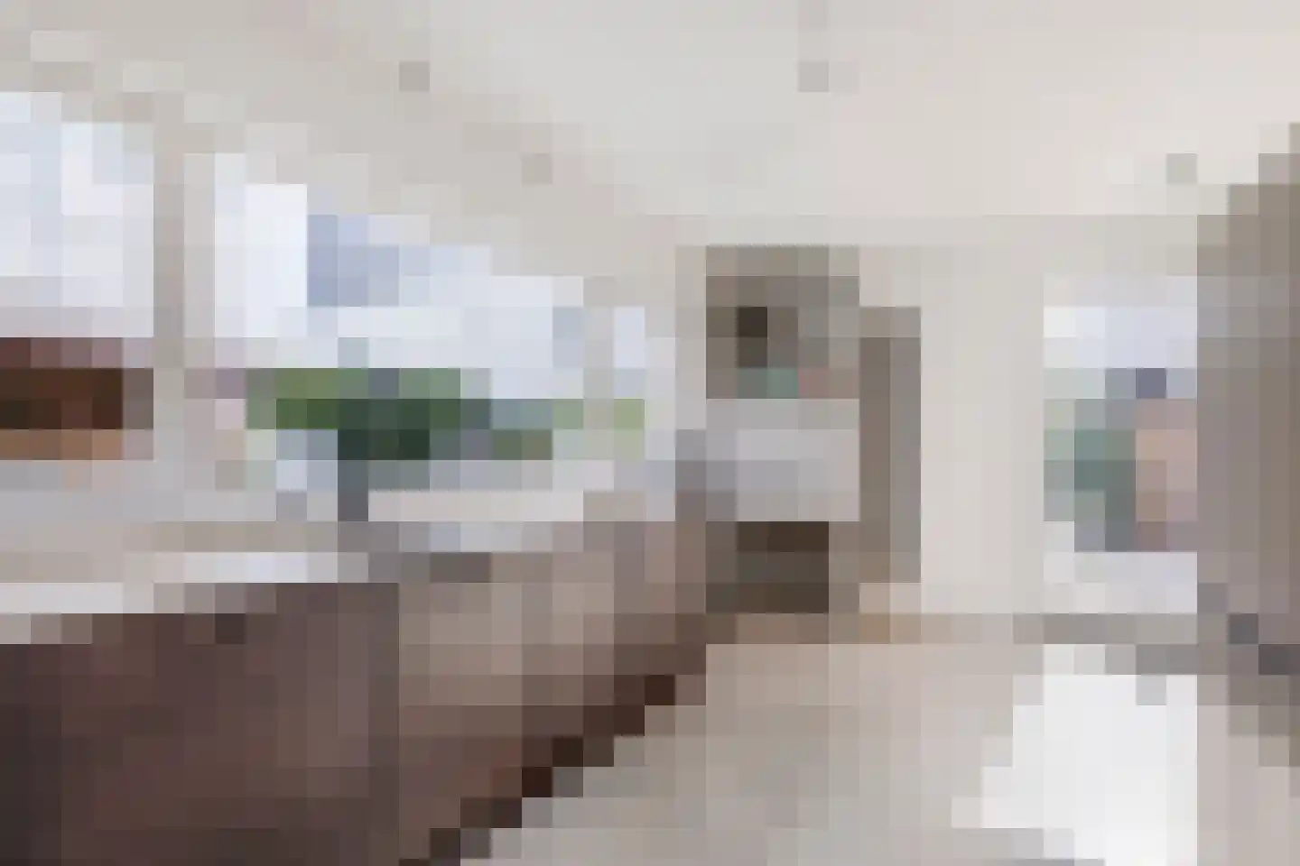 Palissade 28 Vijfhuizen thumbnail 11