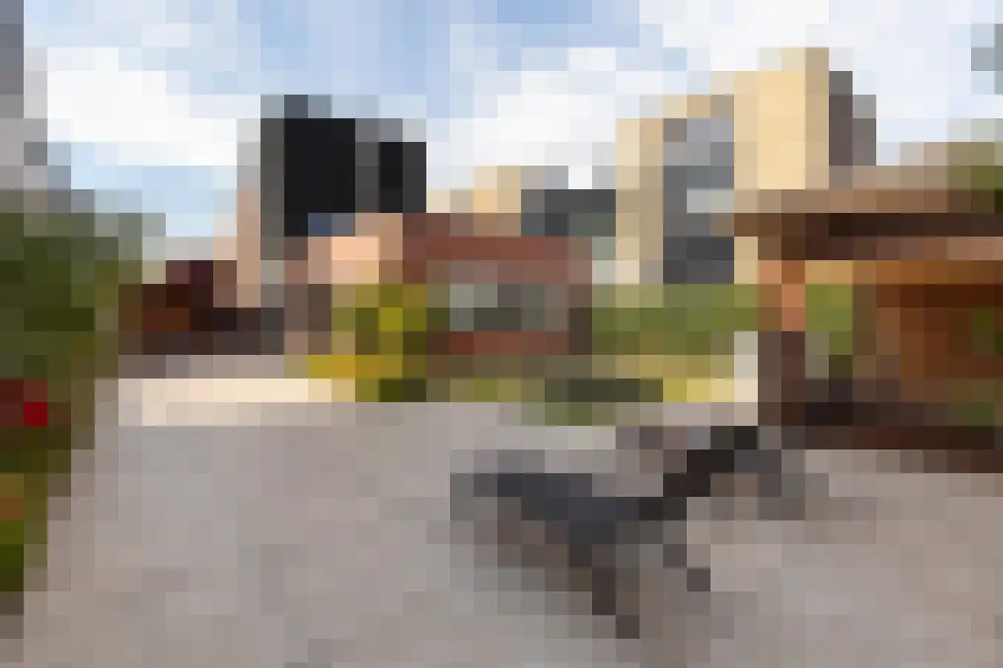 Palissade 28 Vijfhuizen thumbnail 12