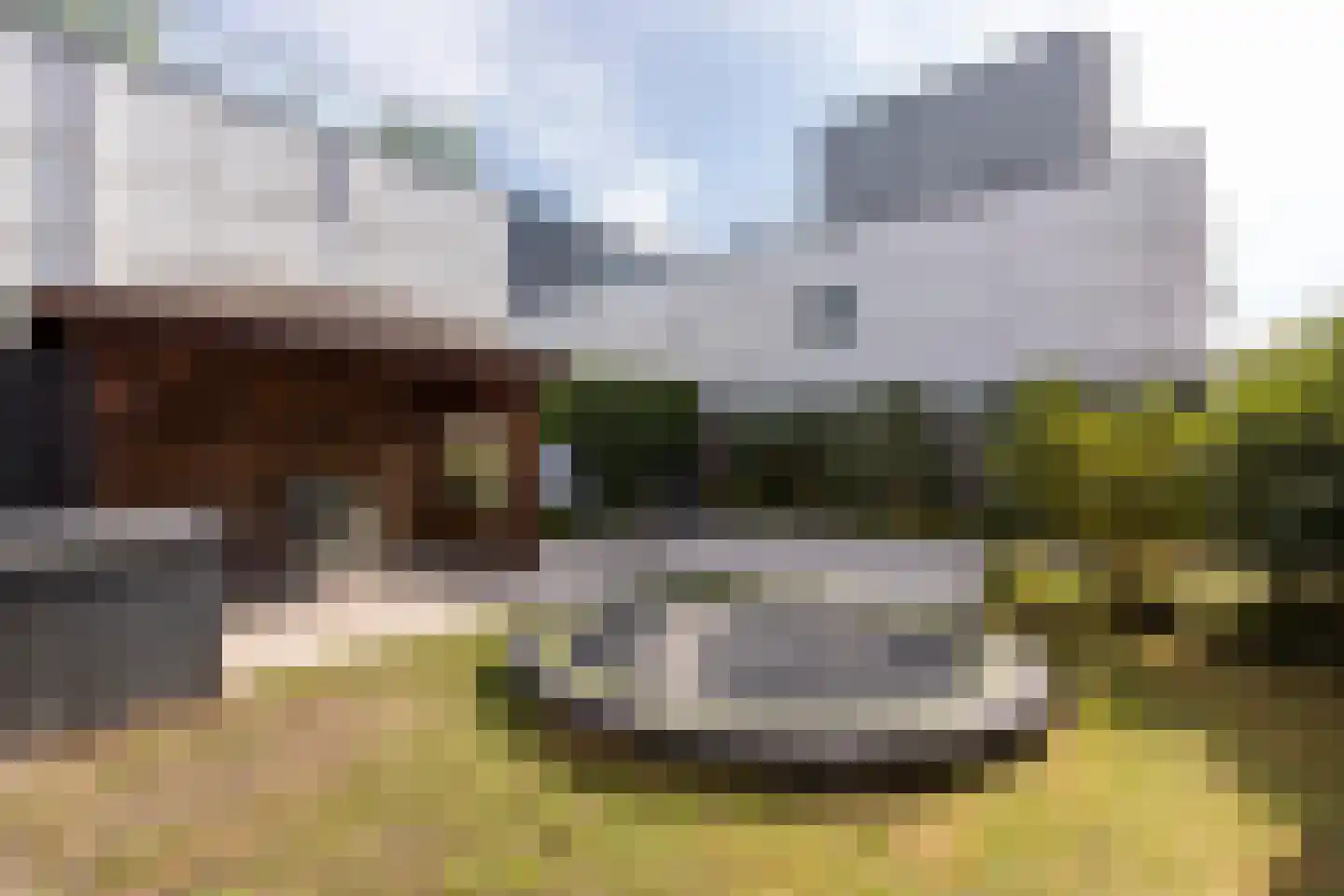 Palissade 28 Vijfhuizen thumbnail 13