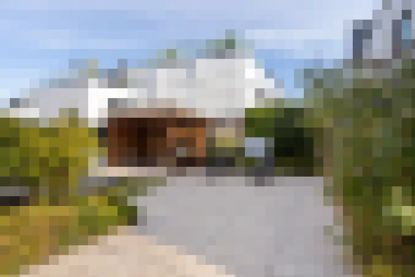 Palissade 28 Vijfhuizen thumbnail 15