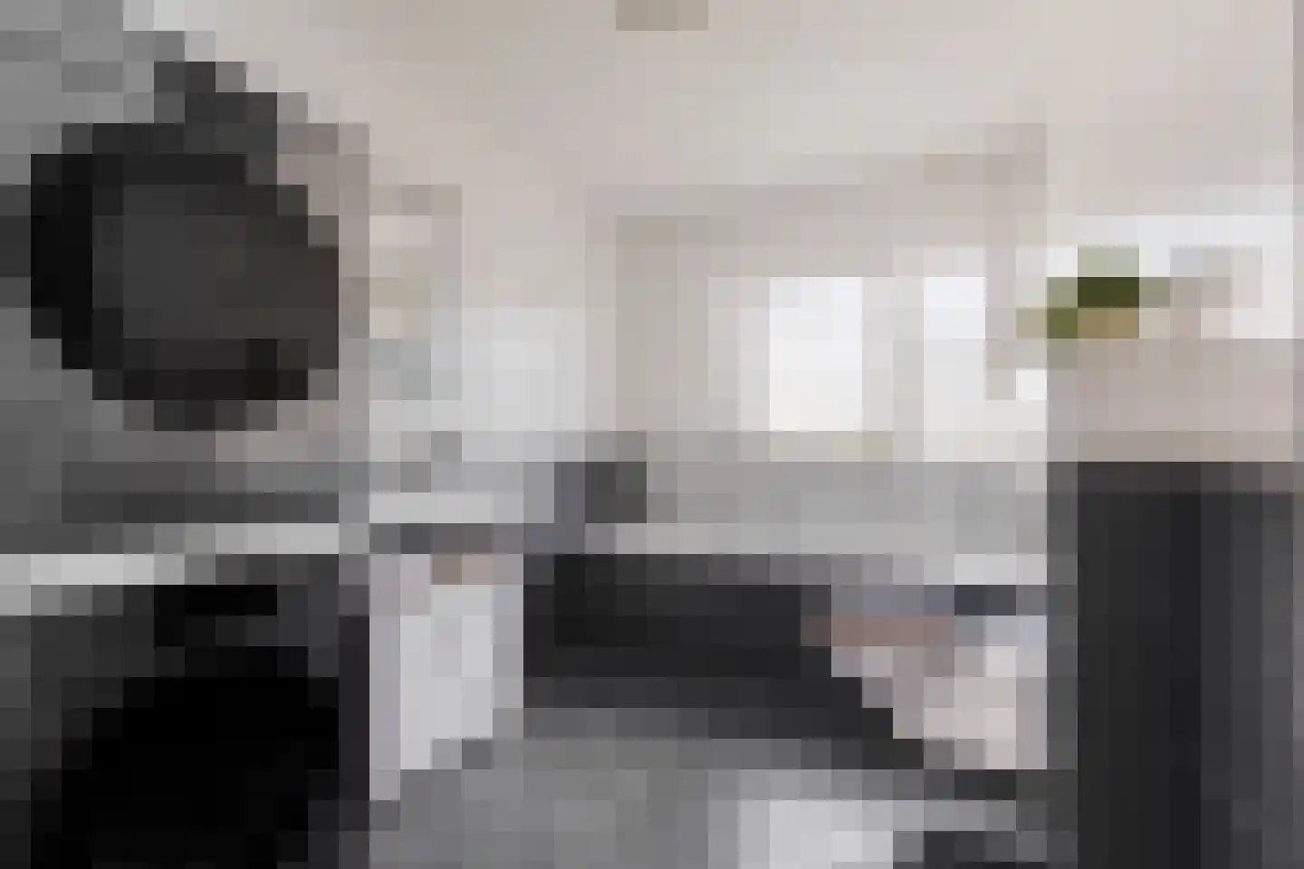 Palissade 28 Vijfhuizen thumbnail 22