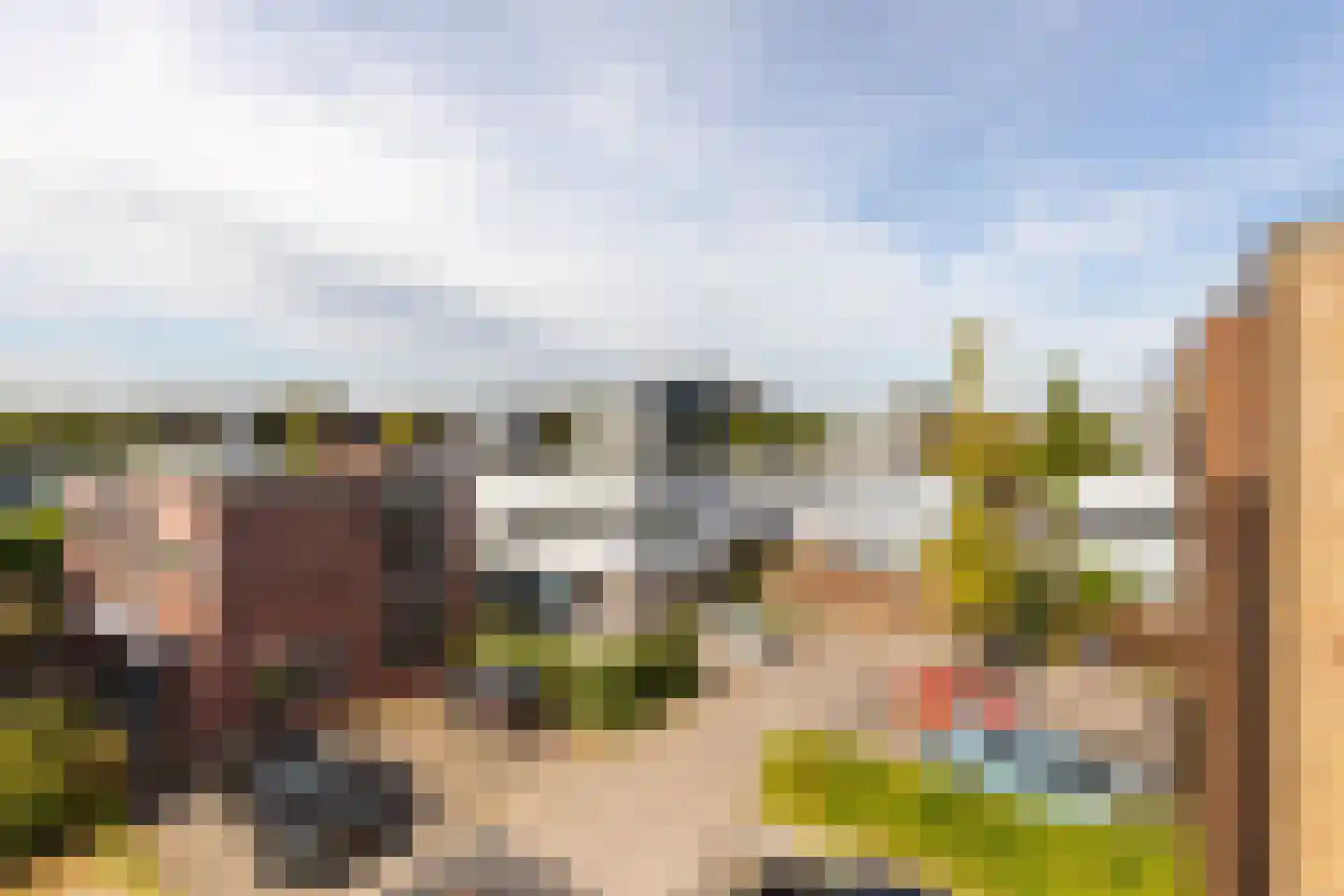 Palissade 28 Vijfhuizen thumbnail 28