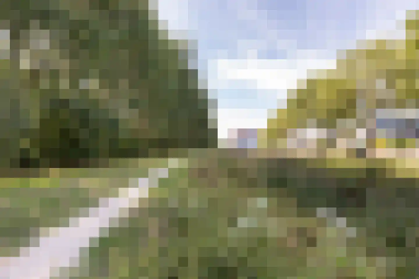 Palissade 28 Vijfhuizen thumbnail 30