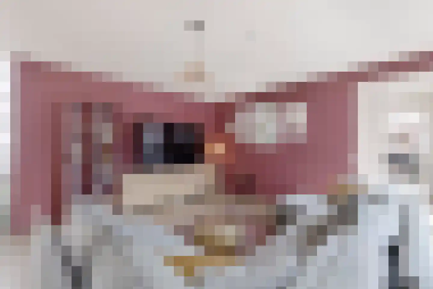 Palissade 28 Vijfhuizen thumbnail 5