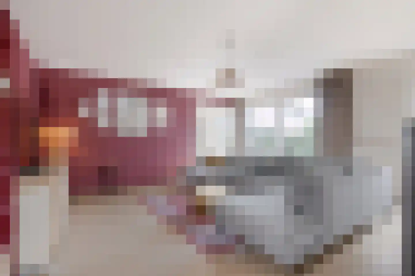 Palissade 28 Vijfhuizen thumbnail 6