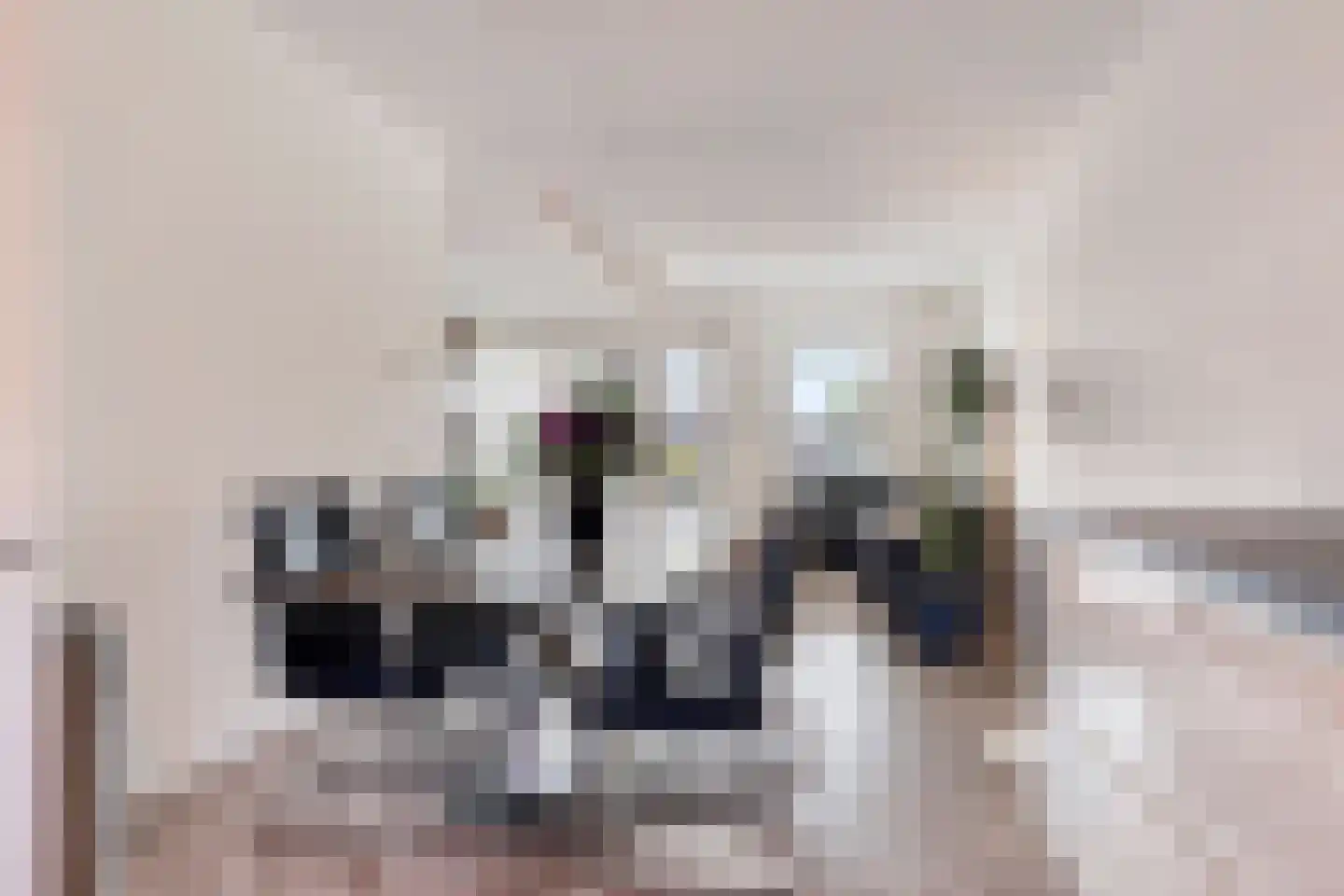 Palissade 3 Almelo thumbnail 13