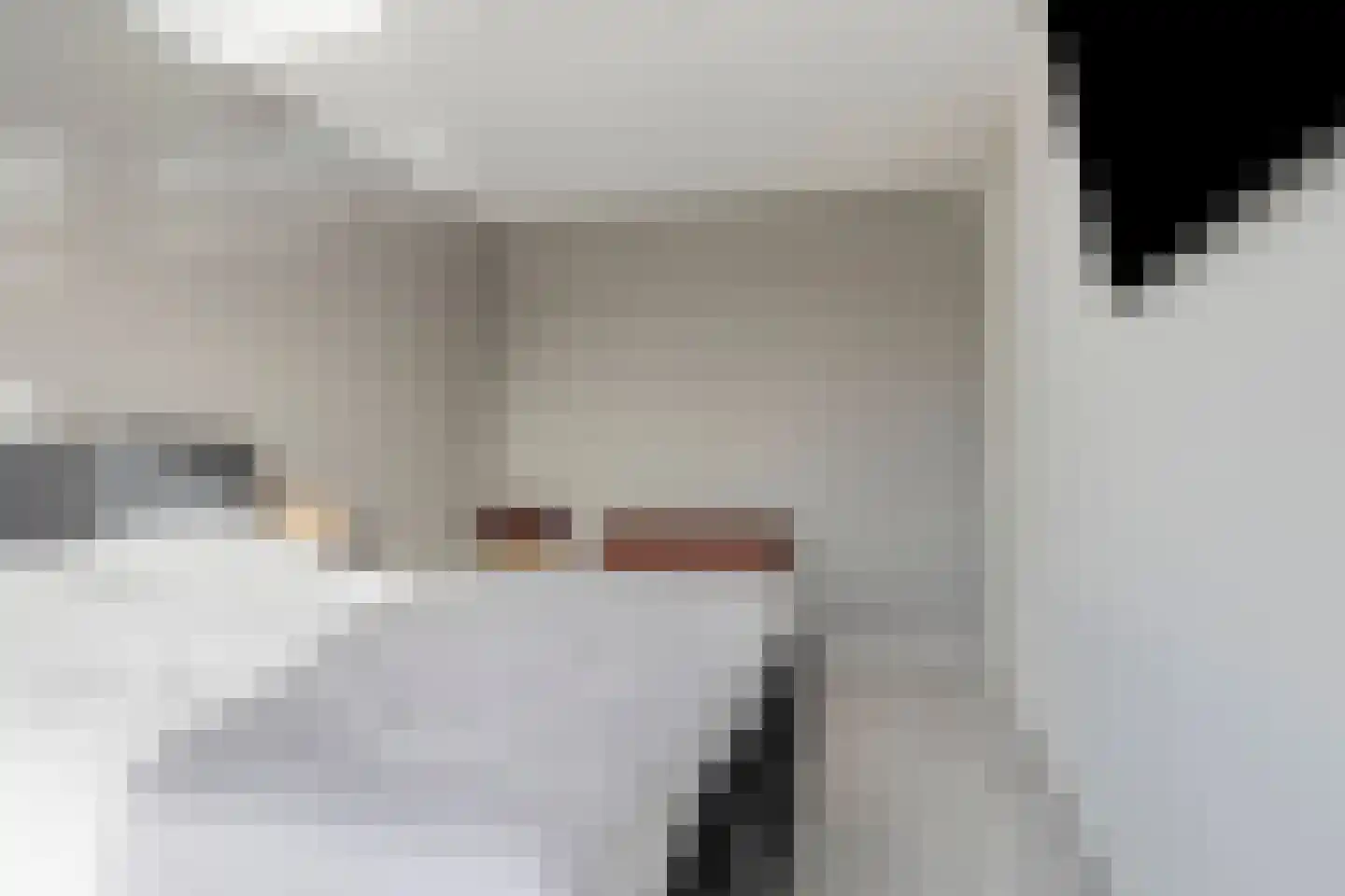 Palissade 3 Almelo thumbnail 17