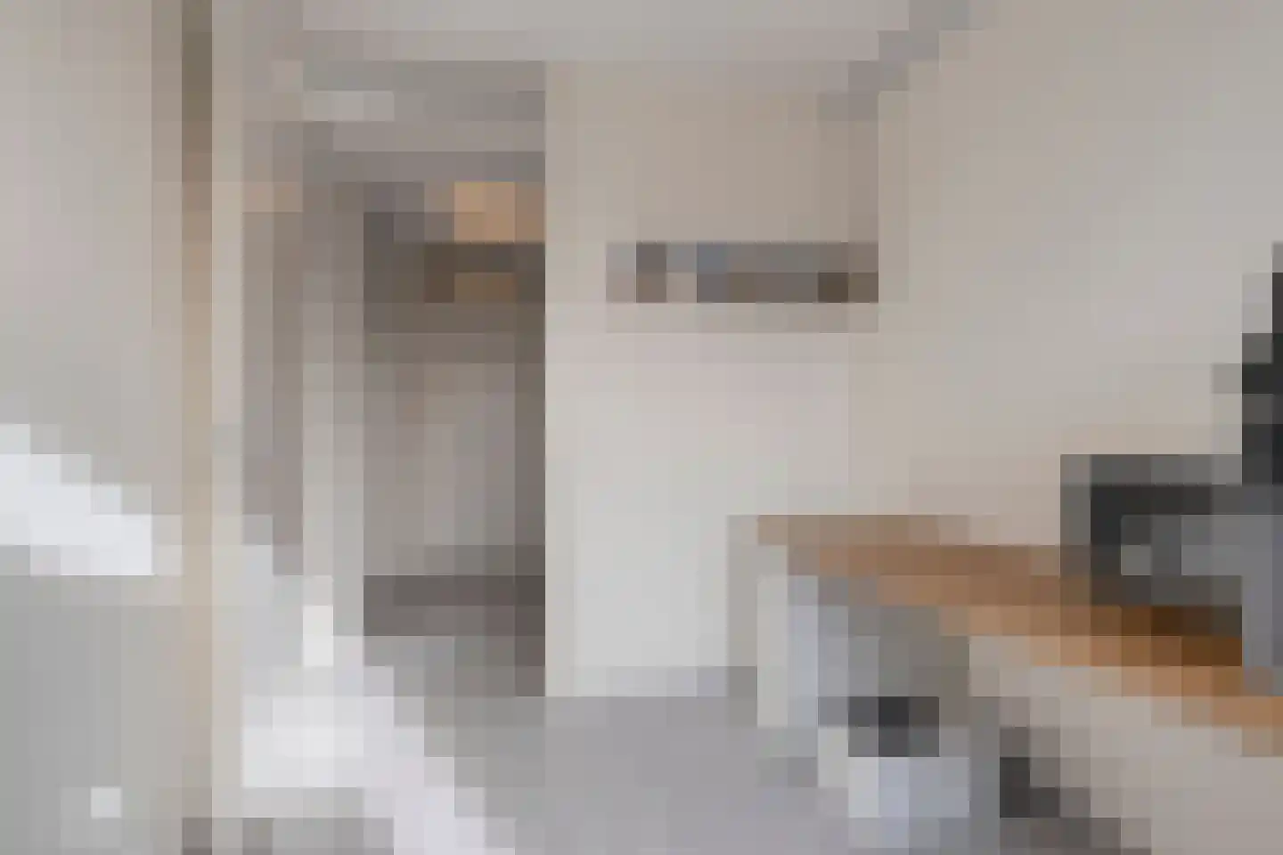 Palissade 3 Almelo thumbnail 24