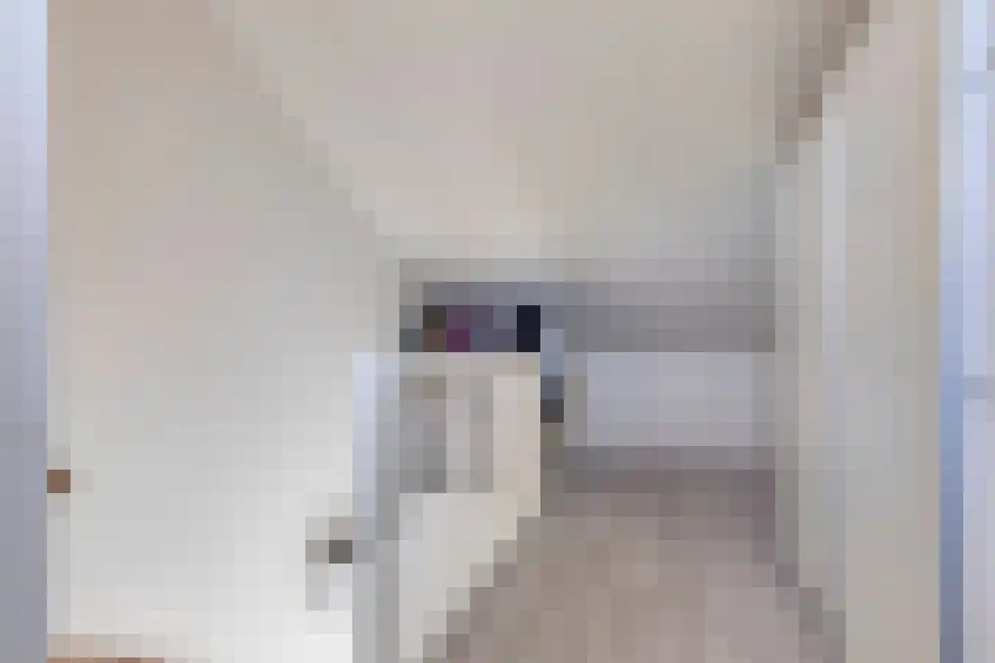 Palissade 3 Almelo thumbnail 25