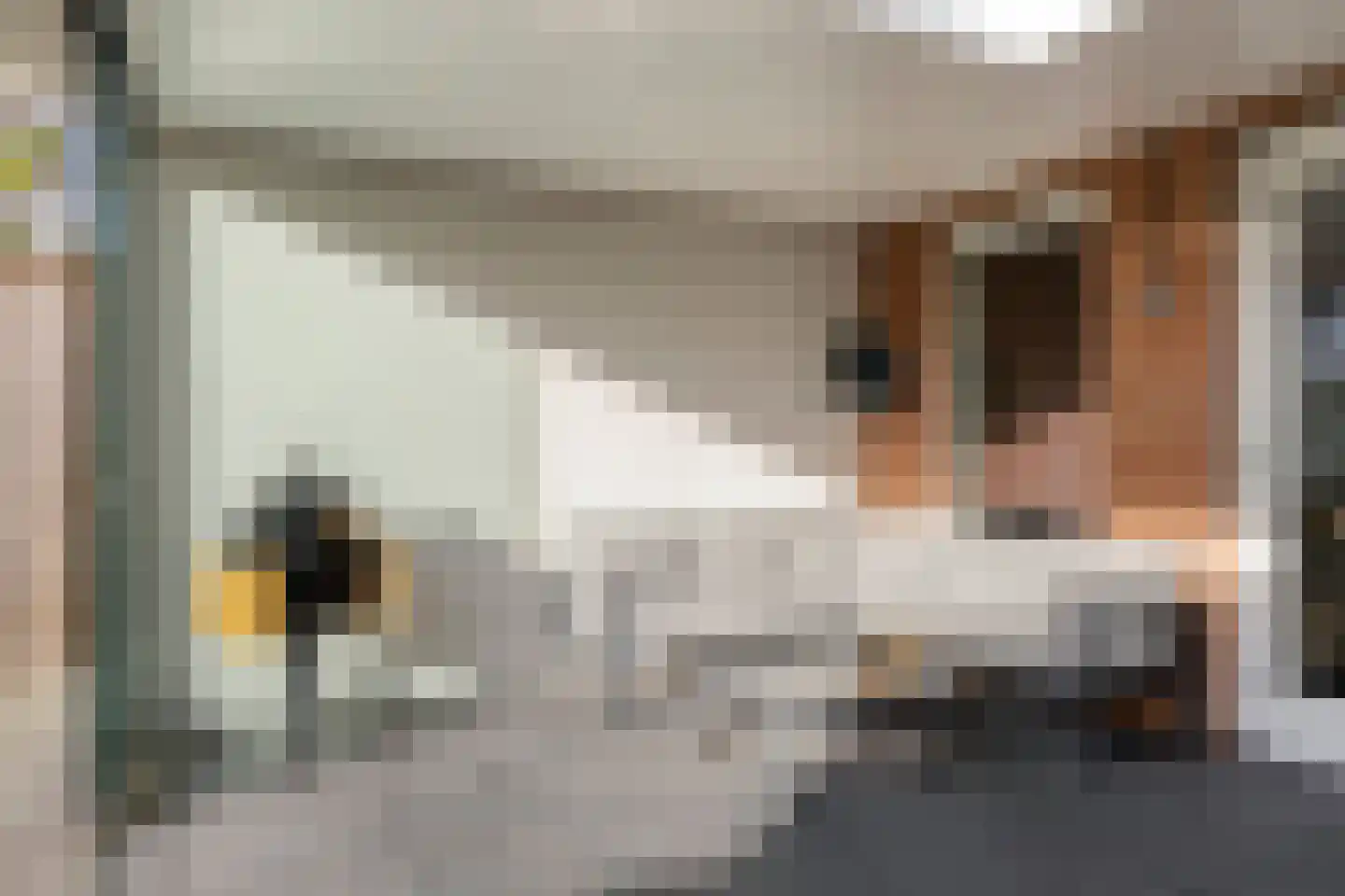 Palissade 3 Almelo thumbnail 28