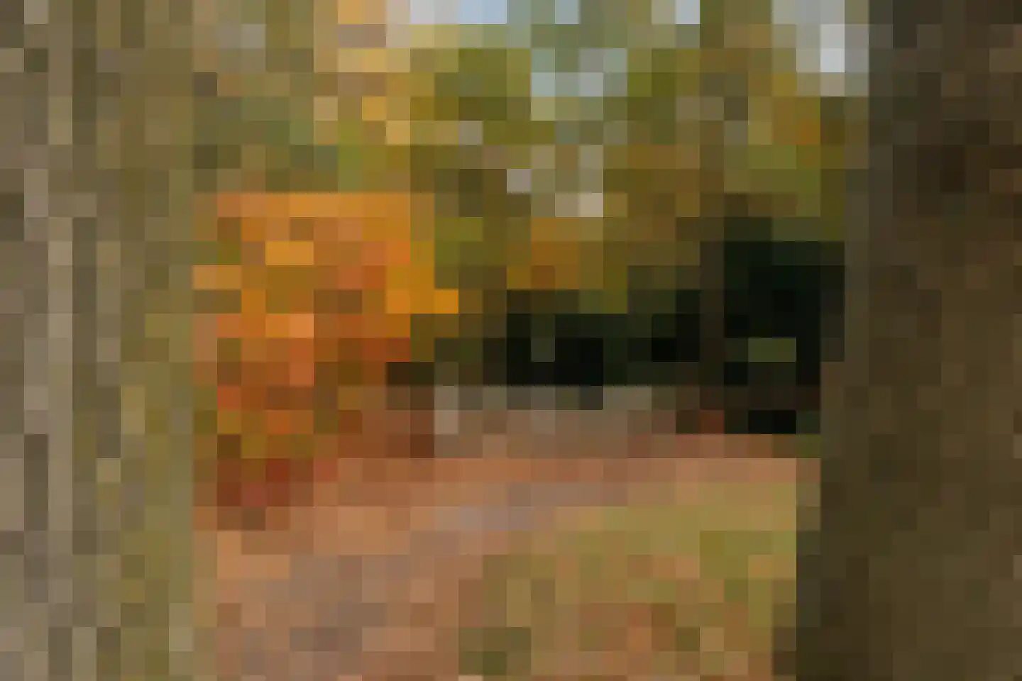 Palissade 3 Almelo thumbnail 36
