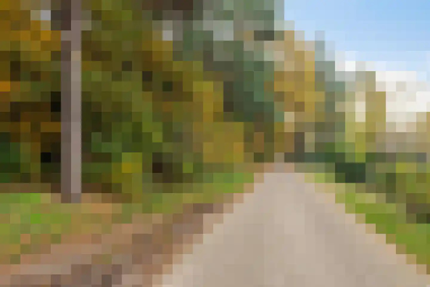 Palissade 3 Almelo thumbnail 37