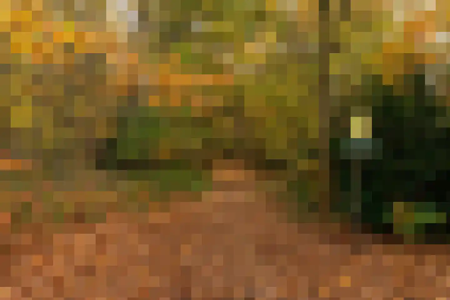 Palissade 3 Almelo thumbnail 38