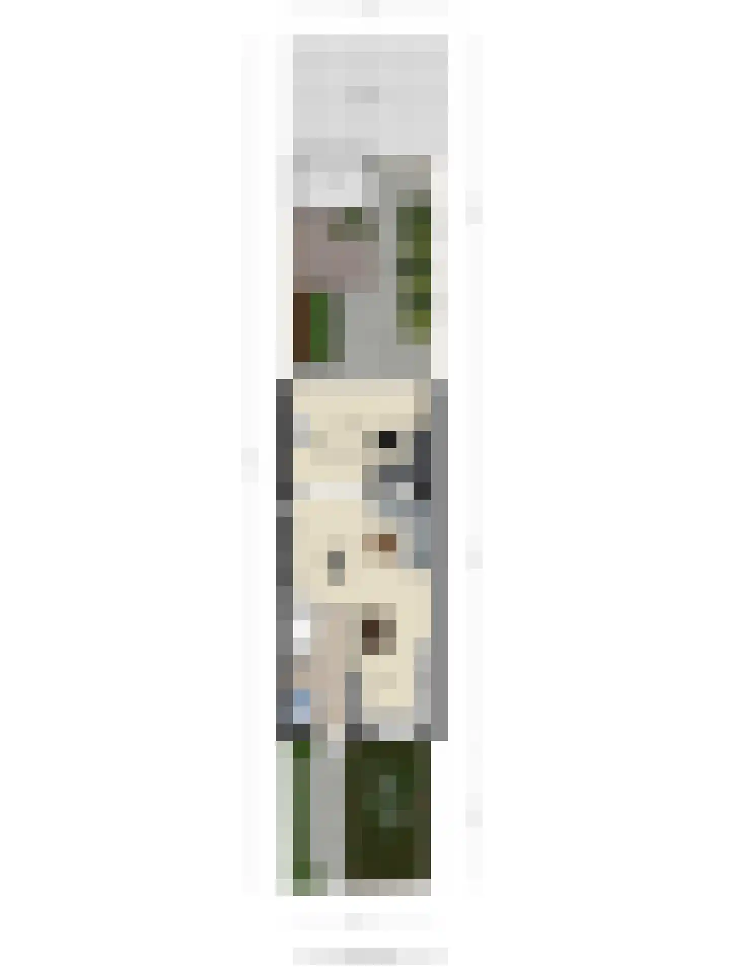 Palissade 3 Almelo thumbnail 44