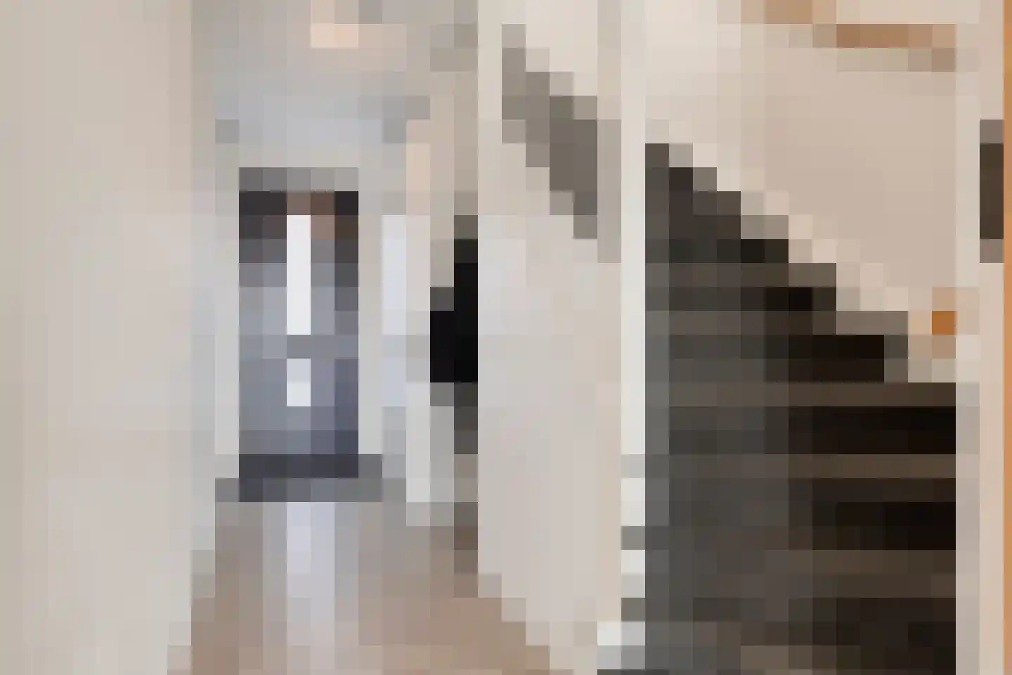 Palissade 3 Almelo thumbnail 7