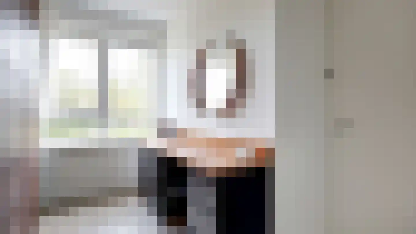 Palissade 35 Almelo thumbnail 16