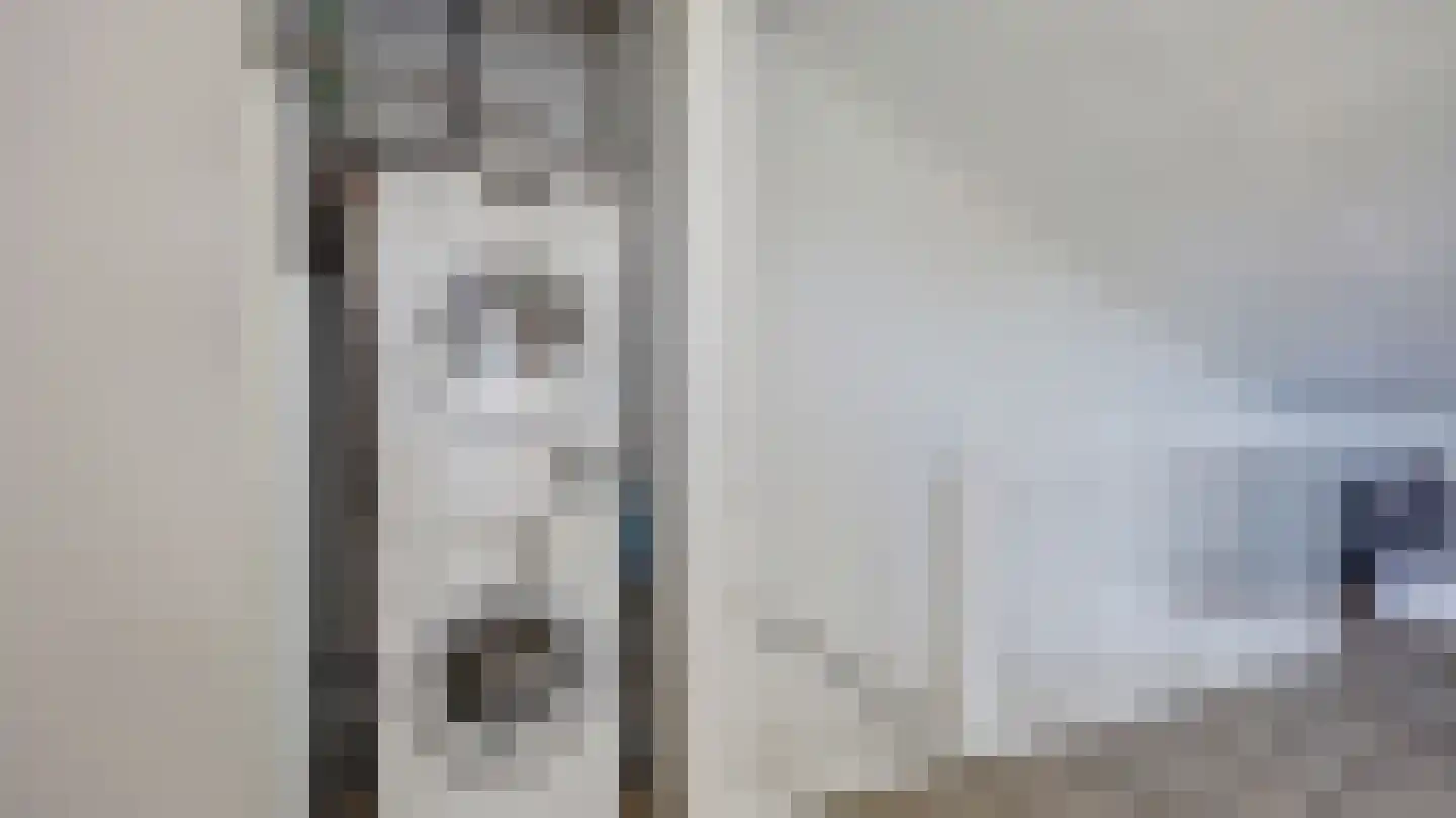 Palissade 35 Almelo thumbnail 24