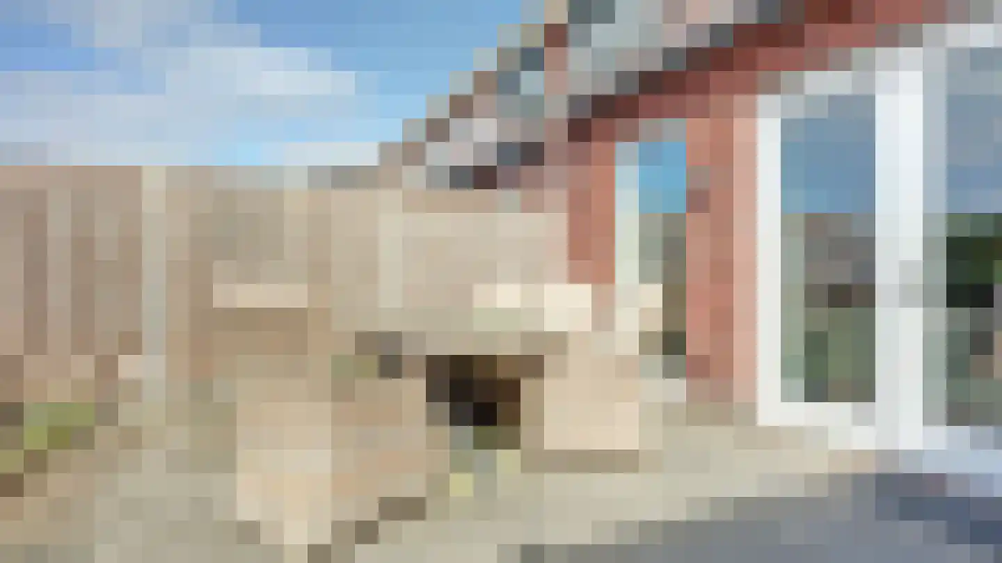 Palissade 35 Almelo thumbnail 27