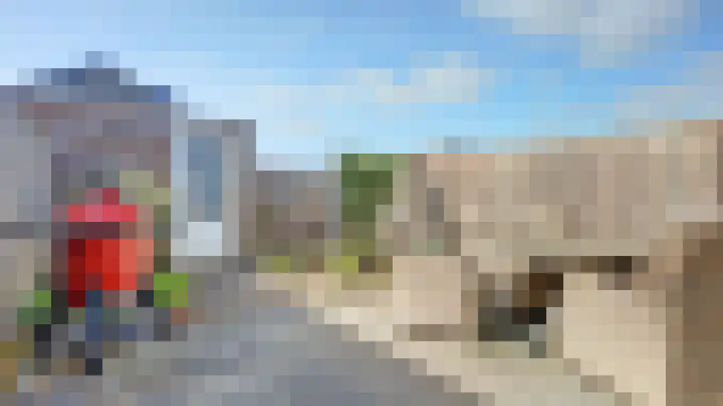 Palissade 35 Almelo thumbnail 29