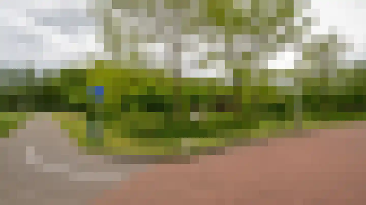 Palissade 35 Almelo thumbnail 35