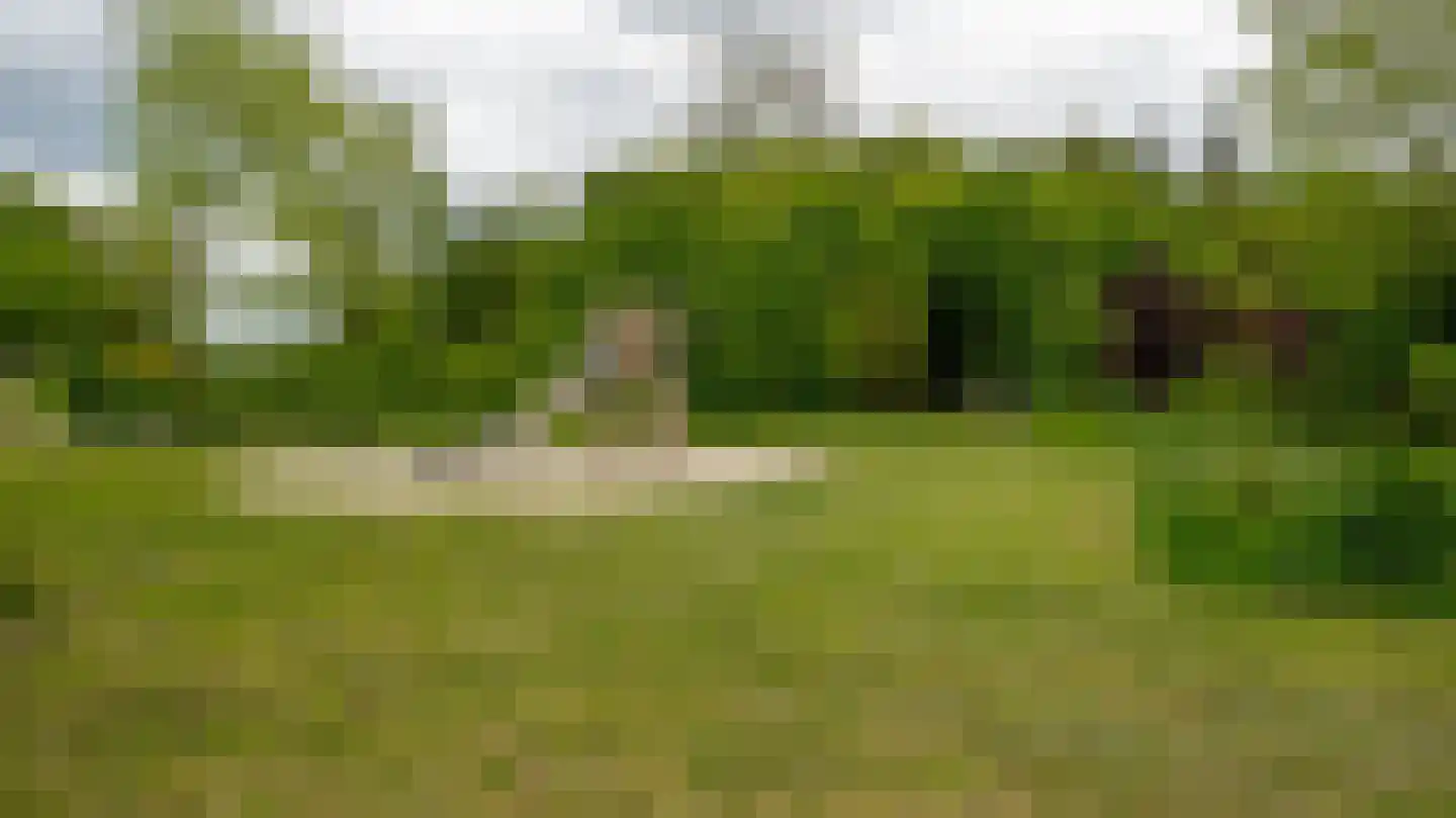 Palissade 35 Almelo thumbnail 36