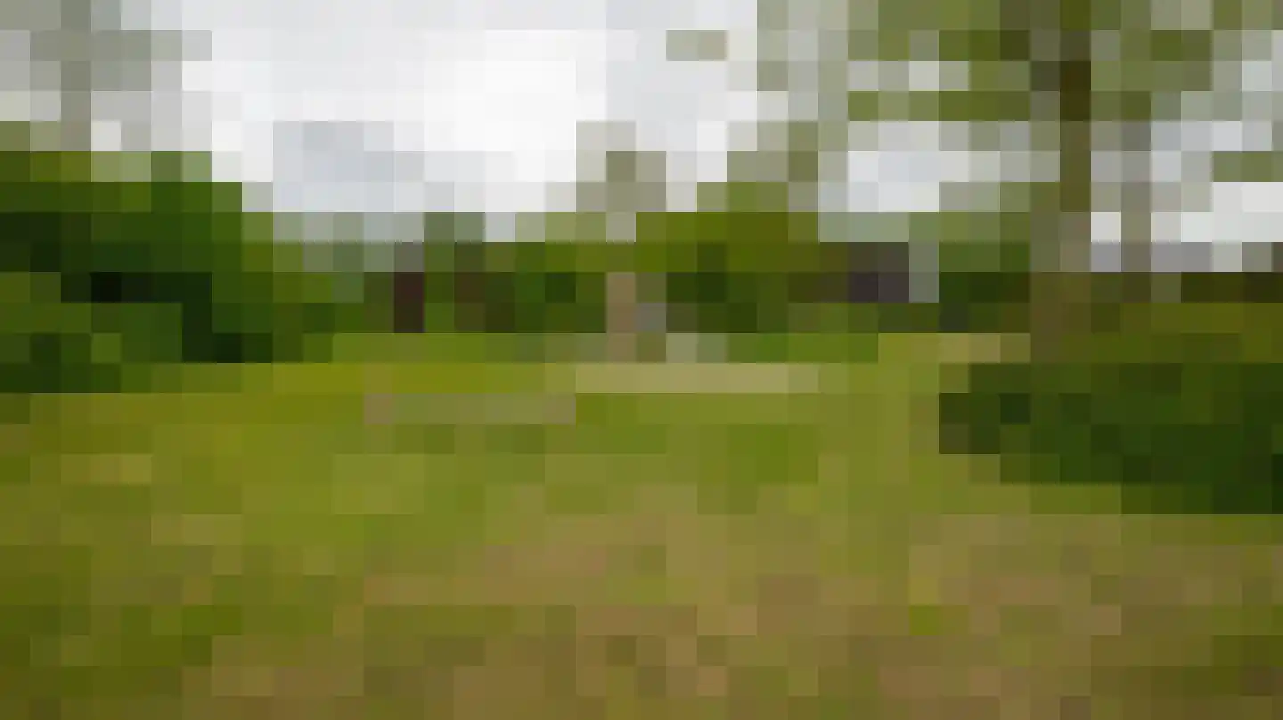 Palissade 35 Almelo thumbnail 37