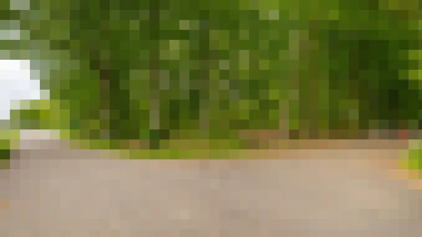 Palissade 35 Almelo thumbnail 39