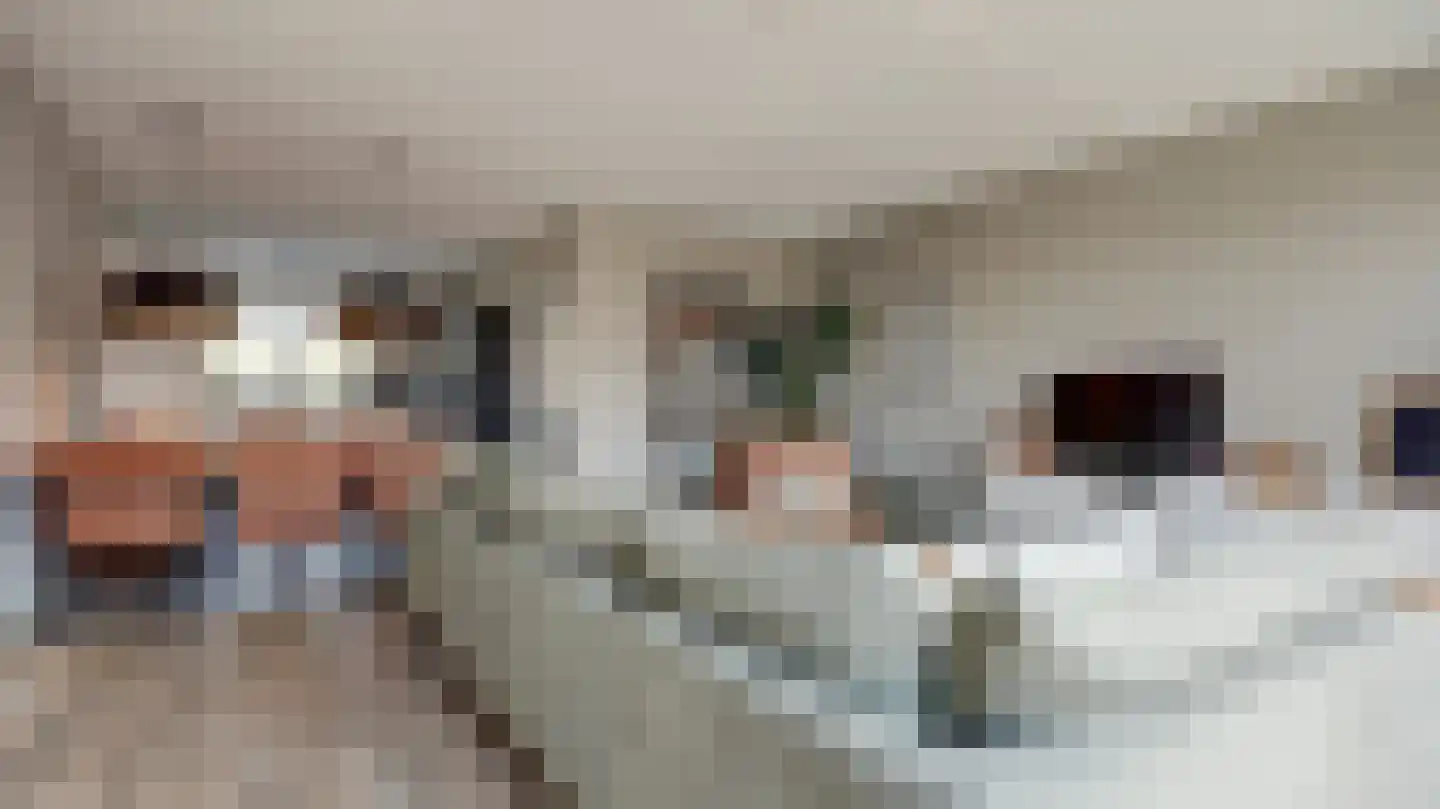 Palissade 35 Almelo thumbnail 4