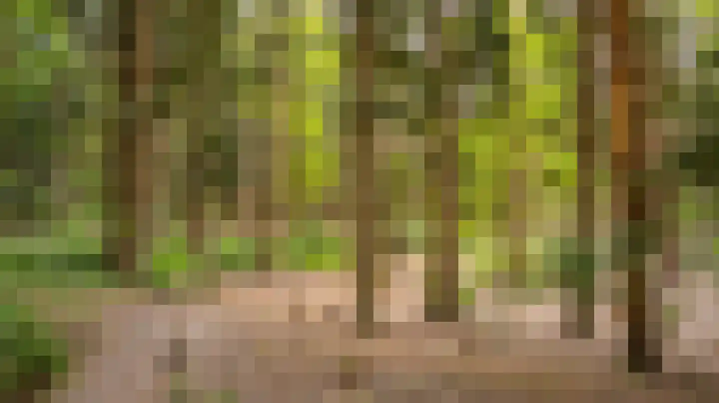 Palissade 35 Almelo thumbnail 41