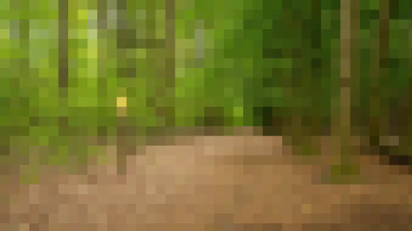 Palissade 35 Almelo thumbnail 42