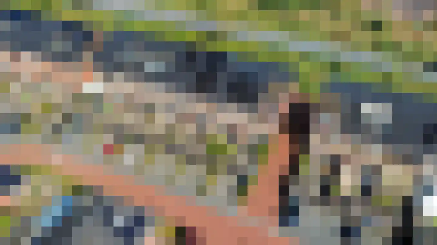 Palissade 35 Almelo thumbnail 43